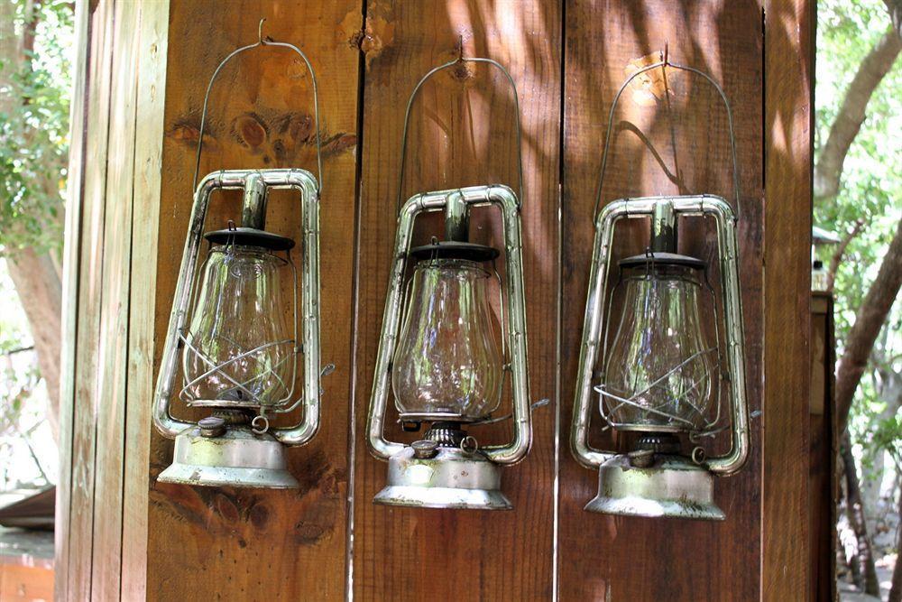 Sederkloof Lodge Studtis Extérieur photo